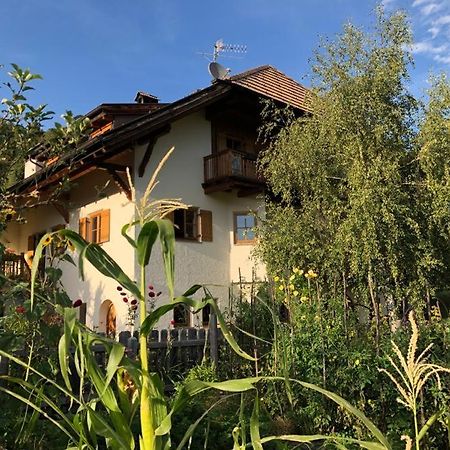 Birbamergut Longostagno ภายนอก รูปภาพ