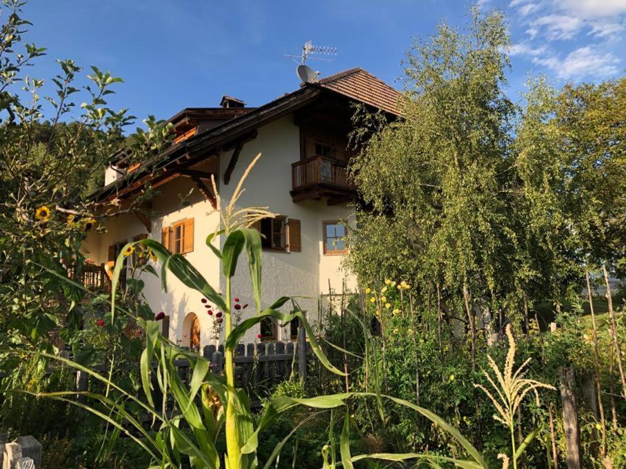 Birbamergut Longostagno ภายนอก รูปภาพ